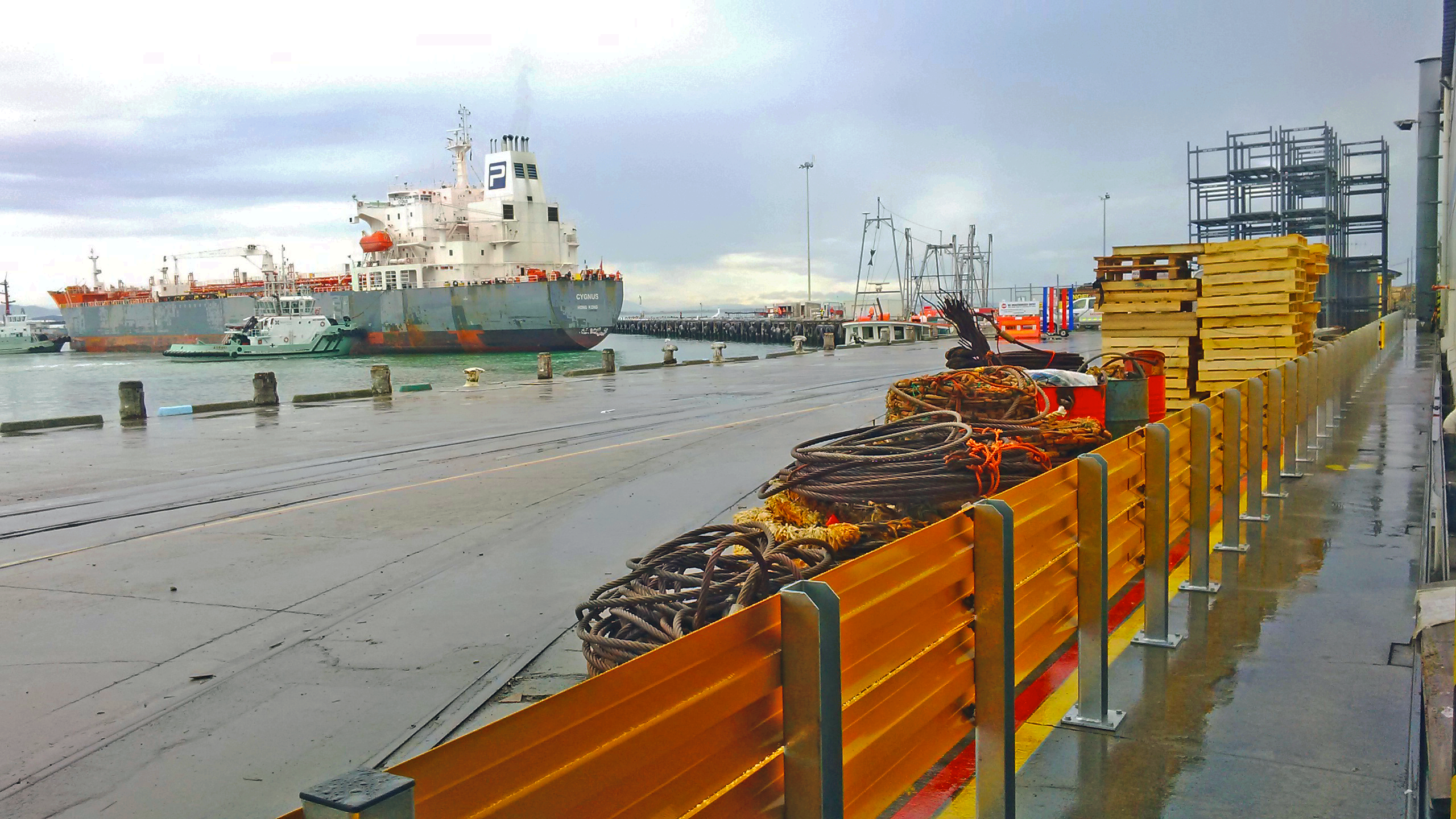 Preventing Fatalities & Injuries for Ports, Cold Stores, & Shipyards: A Tru-Gard Safety Insight.